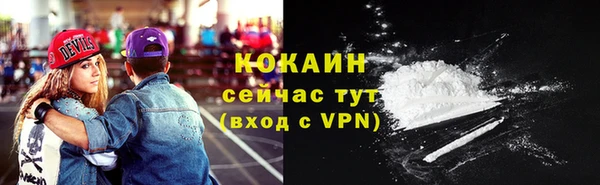 соль ск Алексин