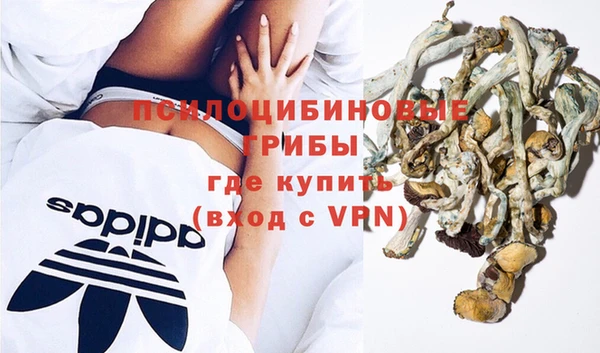 соль ск Алексин